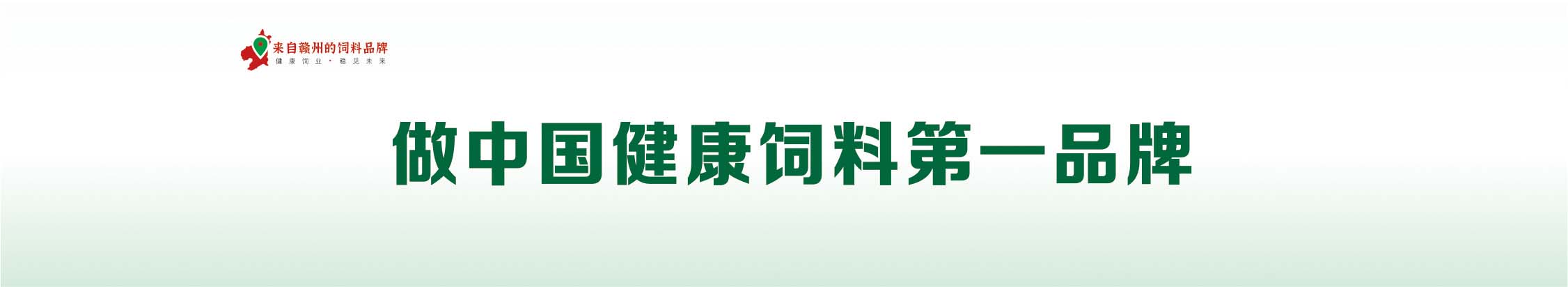 公司愿景